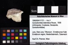 Foto (Objket + Etiketten) von Cracensigillatus acutirostris (Moericke, 1889) 